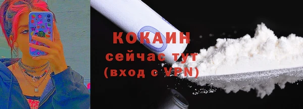 таблы Новодвинск