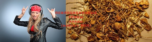 таблы Новодвинск