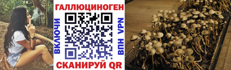 Псилоцибиновые грибы мицелий Тайга