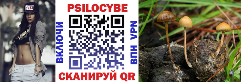 Псилоцибиновые грибы MAGIC MUSHROOMS  Тайга 